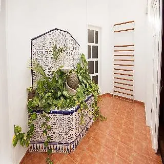 Panorama Adults Only